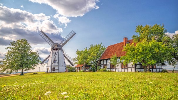 Landschaft in Niedersachen mit Windmühle und Bauernhaus
